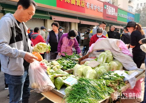 西鎮(zhèn)早市秋菜上市 新鮮蔬菜批發(fā)受熱捧
