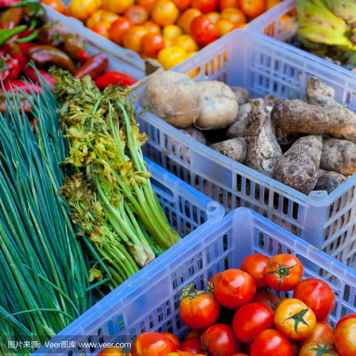 新鮮蔬菜零售 市場(chǎng)中的健康與商機(jī)