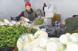 走市場，探探市民的菜籃子 新鮮蔬菜批發的溫度與變遷